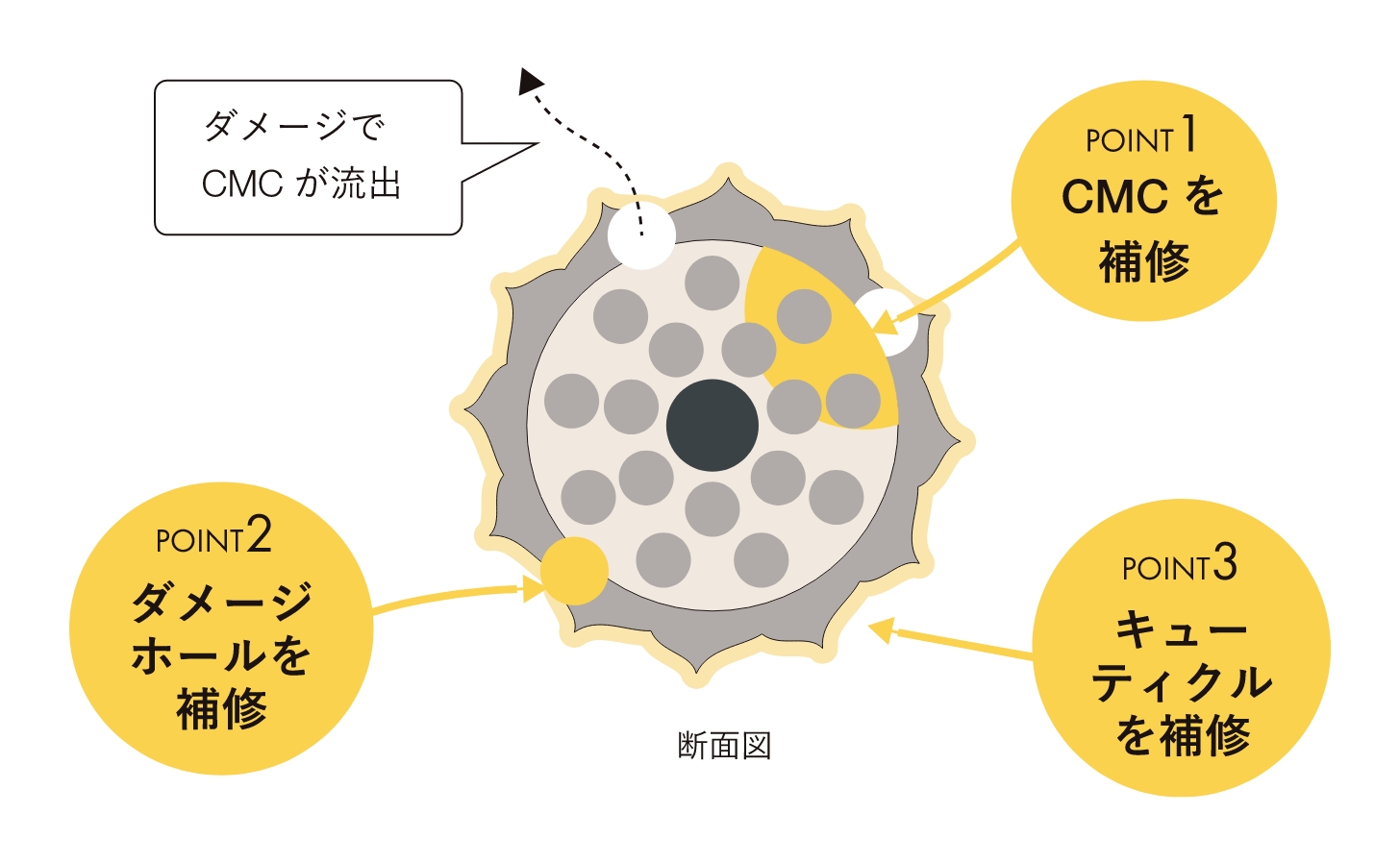 EYE D'ORの“売上No1コーティング剤”が進化して登場！コーティング＆マスカラシリーズ待望のリニューアルへ